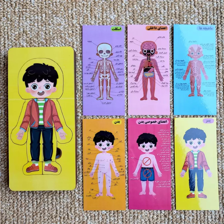 پازل آناتومی بدن انسان چوبی الگودار طرح پسر