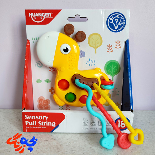 دستورزی زرافه