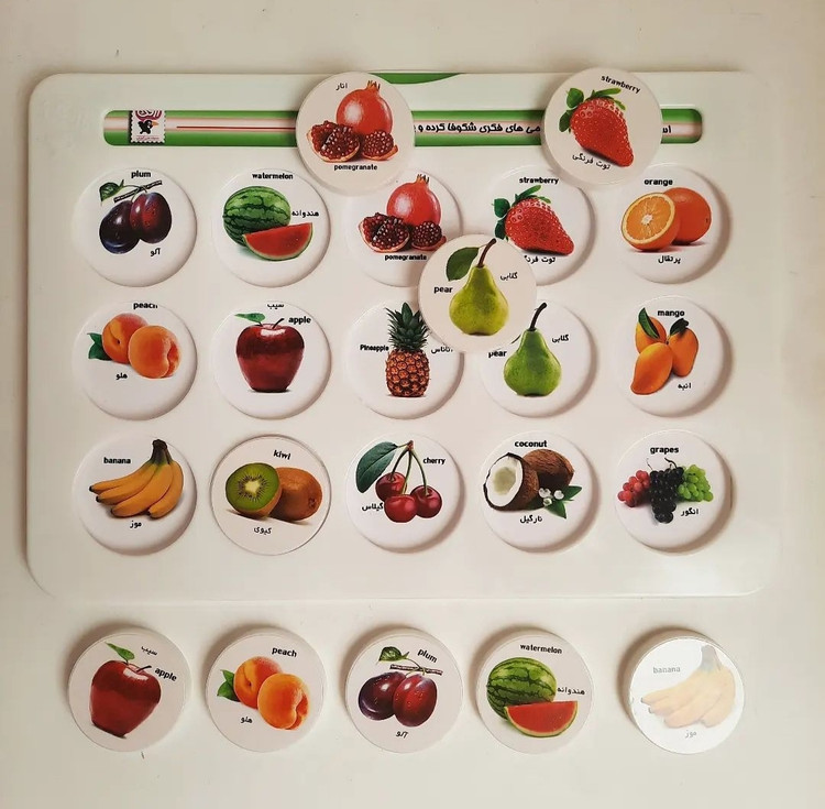 هوشچین یک تکه زاغک میوه ها