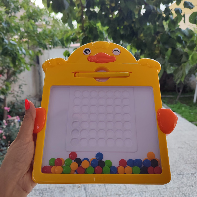 برد مگنتی جوجه