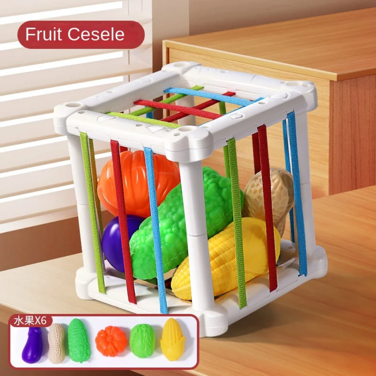 مکعب اکتشافی سبزیجات