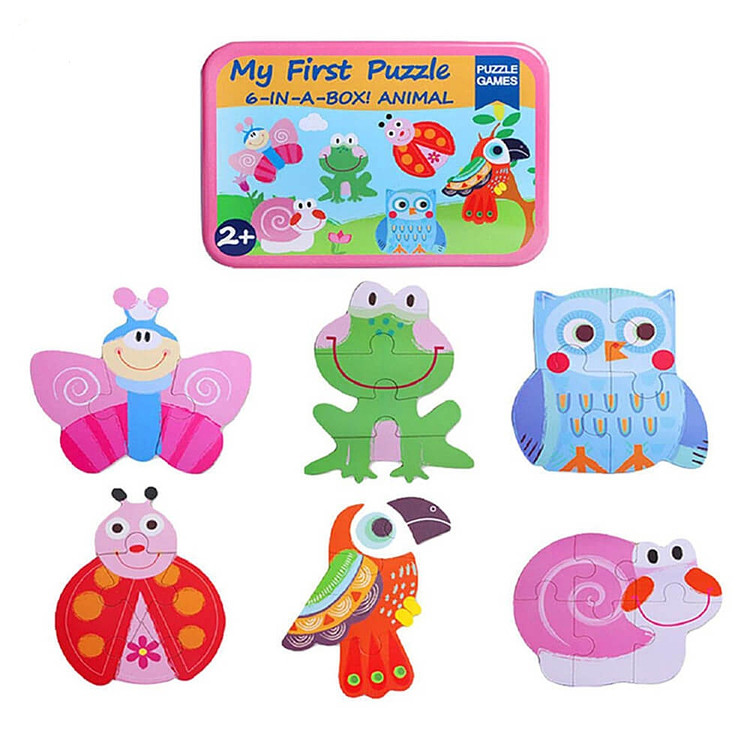 پازل شش در یک جعبه فلزی وارداتی حشرات