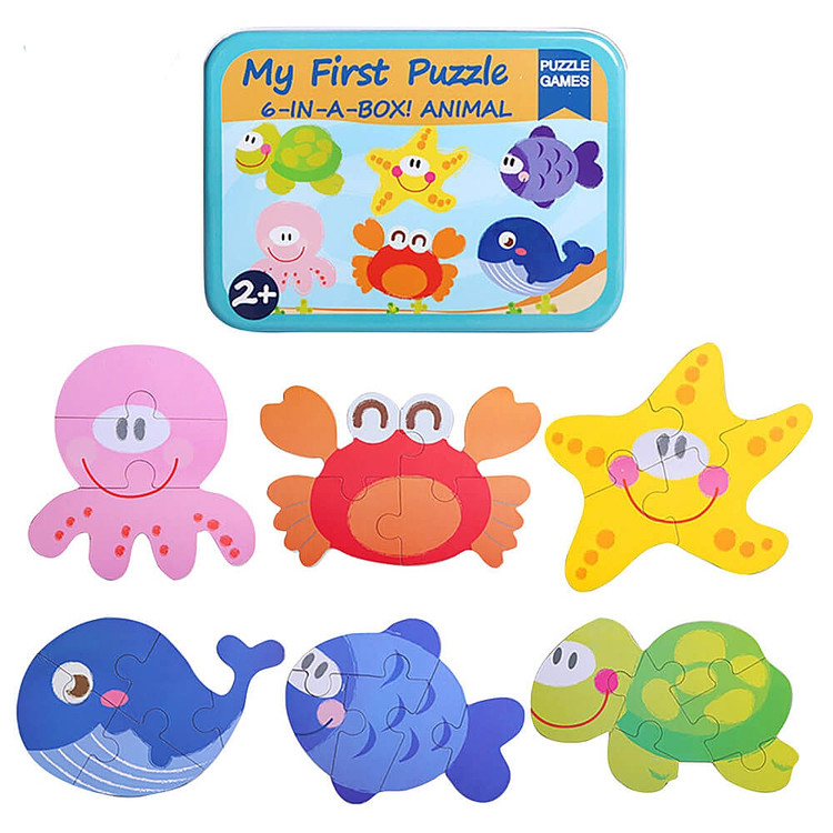 پازل شش در یک جعبه فلزی وارداتی دریایی